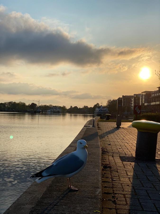 Ferienwohnung Moewenblick Wilhelmshaven Buitenkant foto